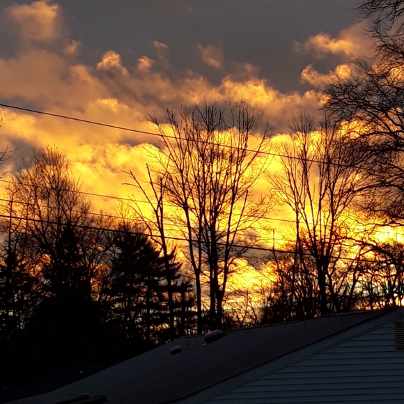 Meet your Posher, Jessica - Picture 8 of 16